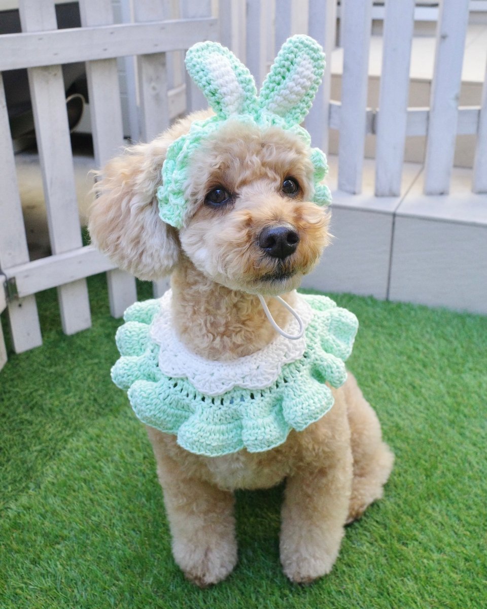 襟付きスプリングケープ - HEY,BUDDY