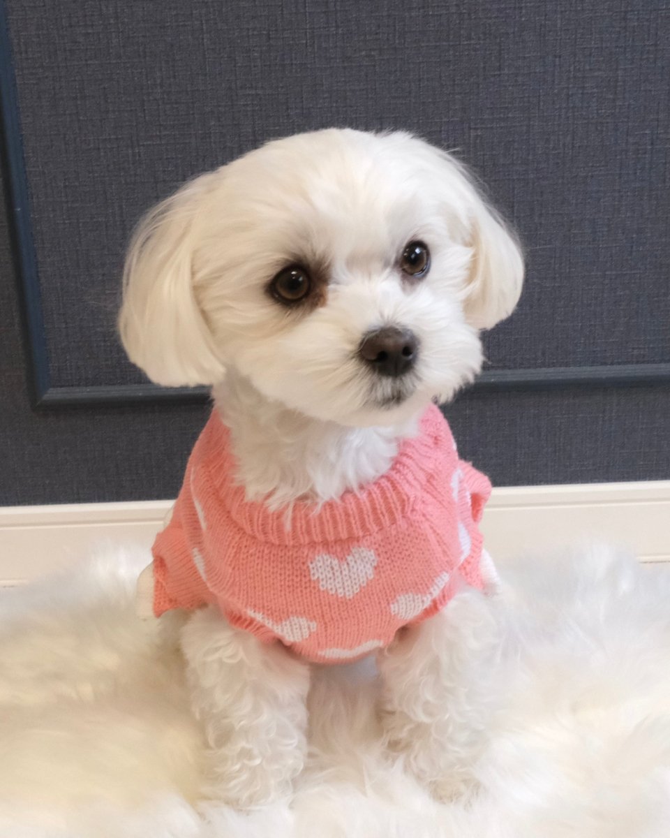 らぶニットワンピース - HEY,BUDDY