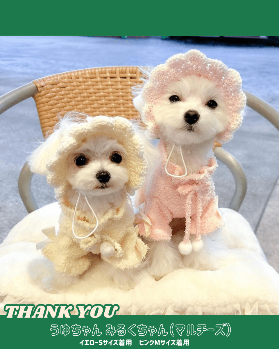 パステルフリルハット - HEY,BUDDY