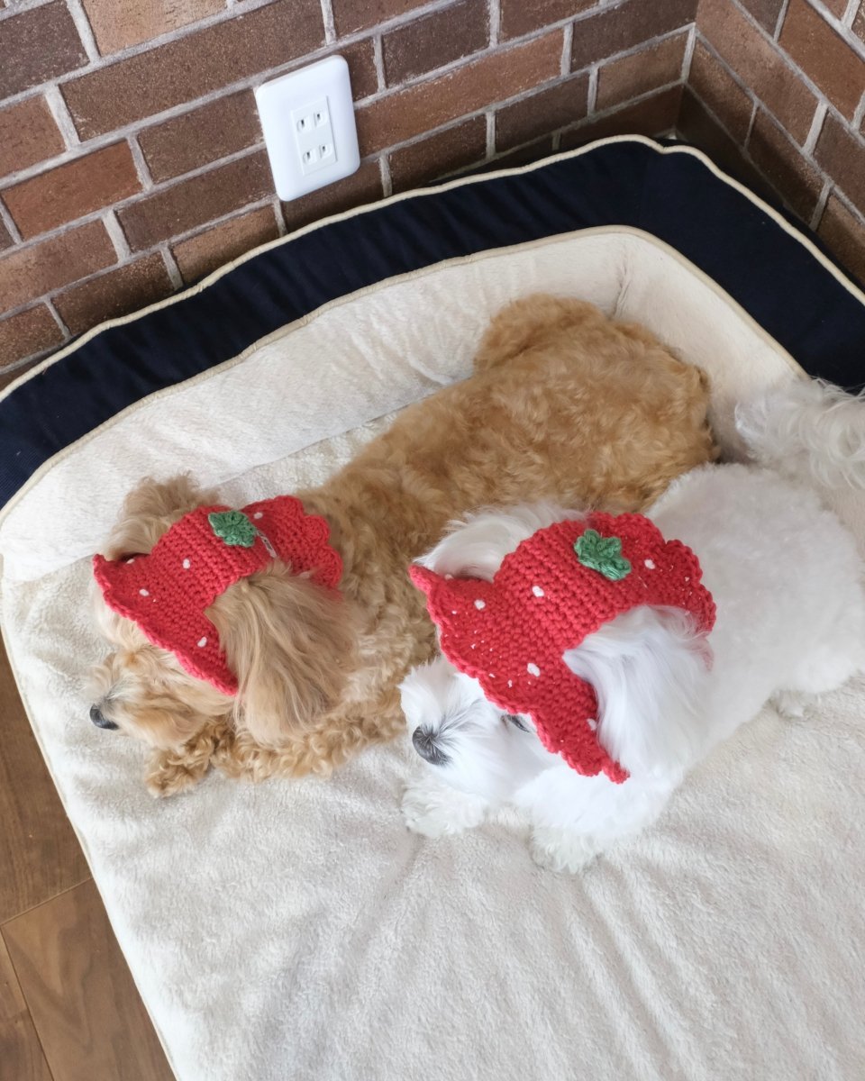 いちごちゃんハット - HEY,BUDDY