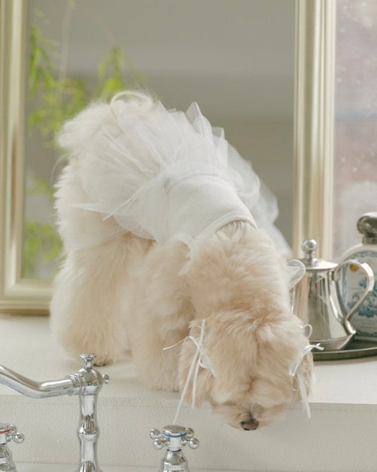 チュチュドレス - HEY,BUDDY