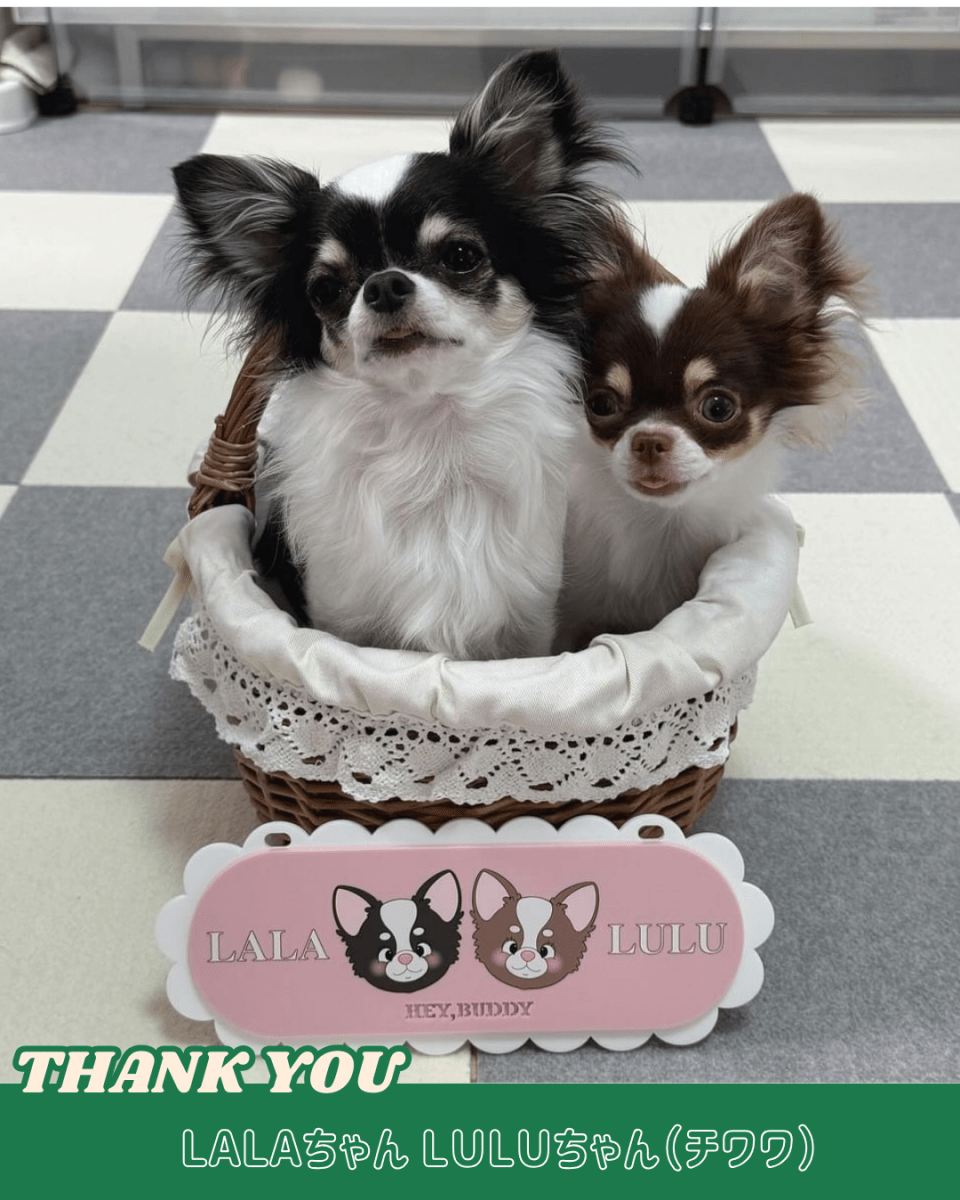 看板 - もくもくプレート - HEY,BUDDY