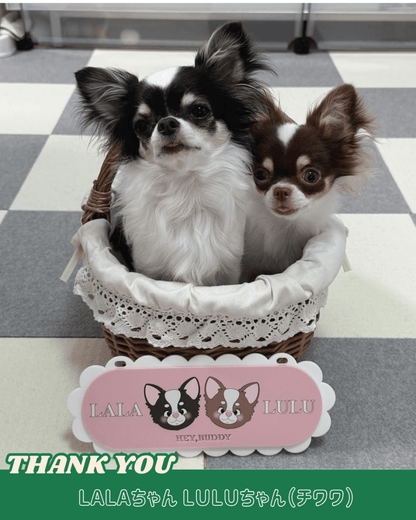 看板 - もくもくプレート - HEY,BUDDY