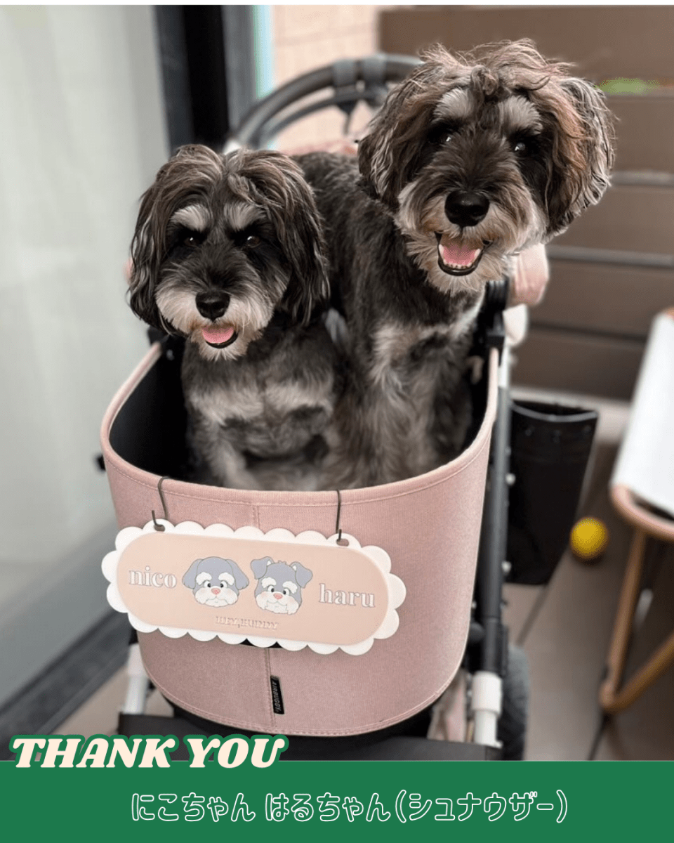 看板 - もくもくプレート - HEY,BUDDY