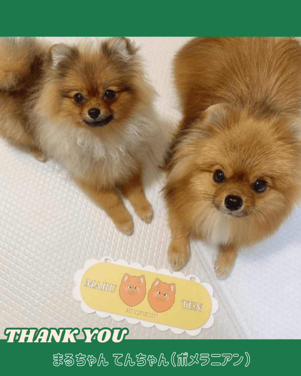 看板 - もくもくプレート - HEY,BUDDY