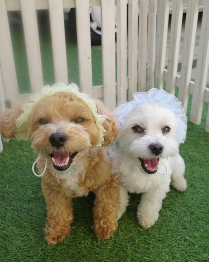 マーメイドハット - HEY,BUDDY