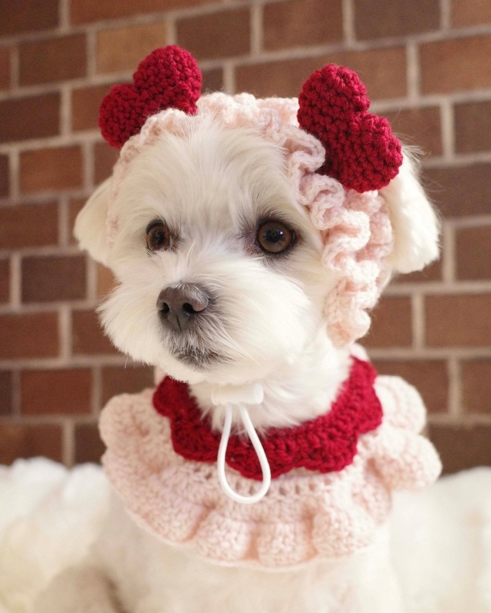 襟付きホイップケープ - HEY,BUDDY