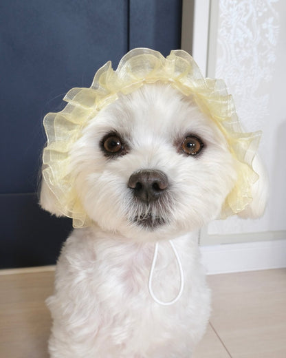 マーメイドハット - HEY,BUDDY