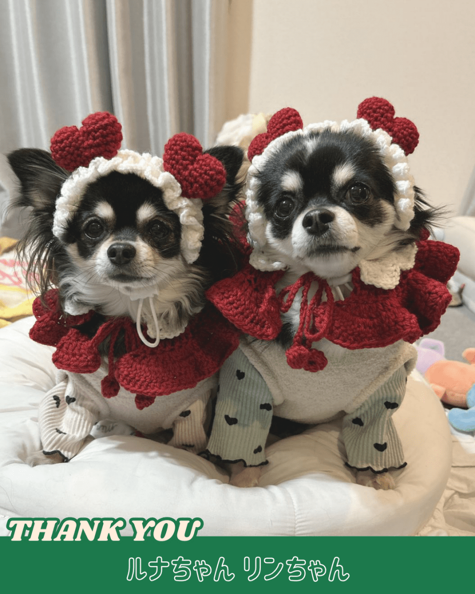 襟付きホイップケープ - HEY,BUDDY