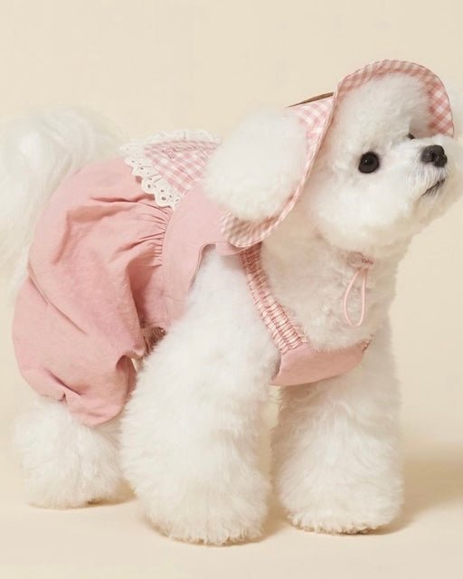 パンプキンパンツ - HEY,BUDDY