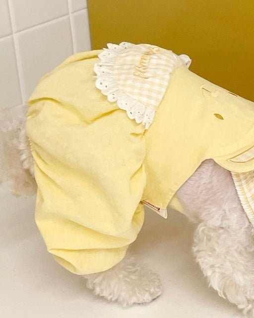 パンプキンパンツ - HEY,BUDDY