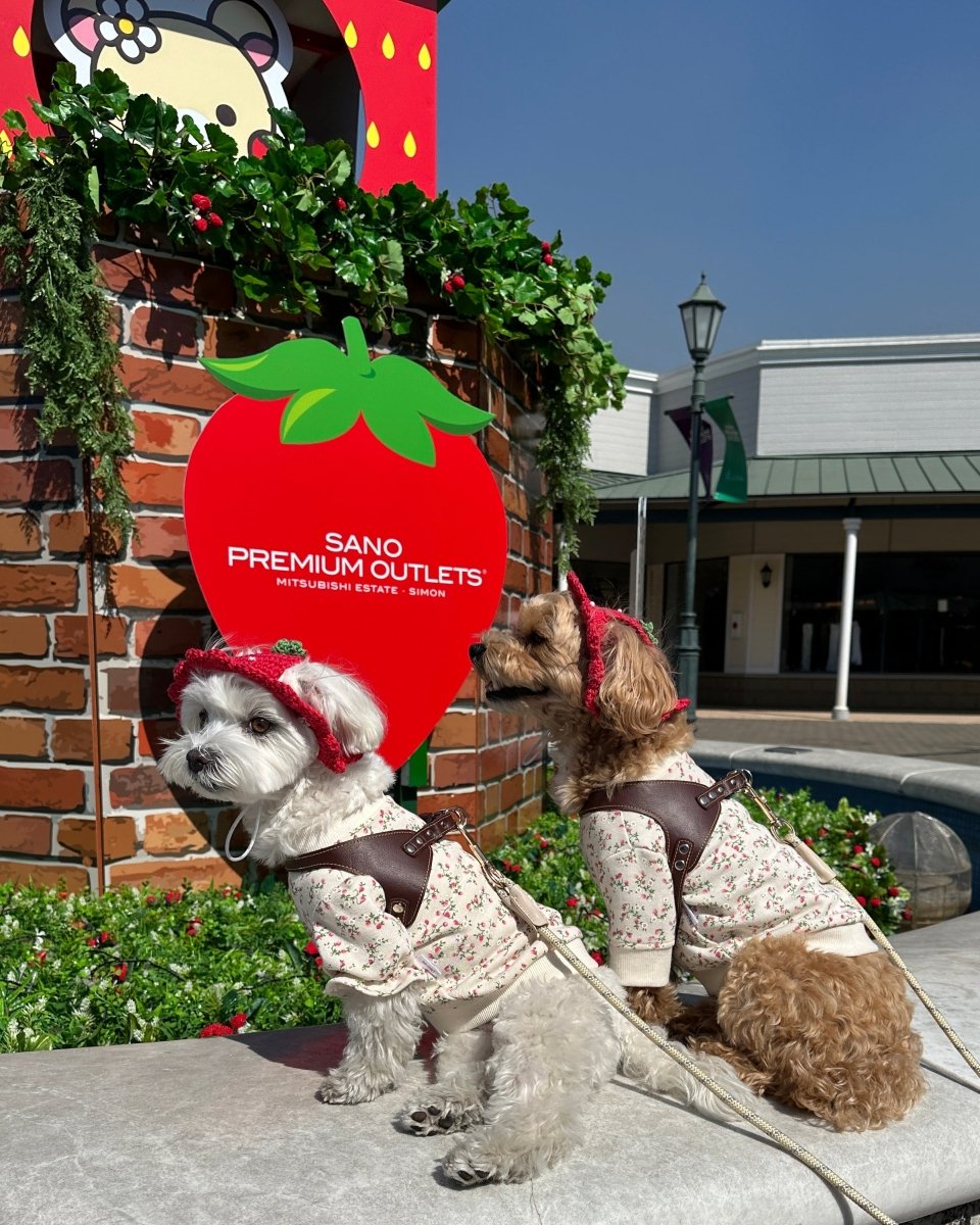 いちごちゃんハット - HEY,BUDDY