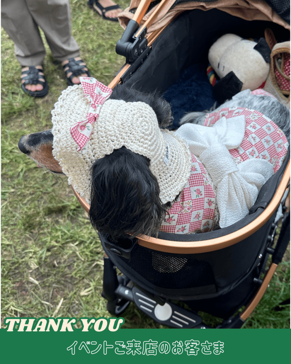 レトロなハット - HEY,BUDDY