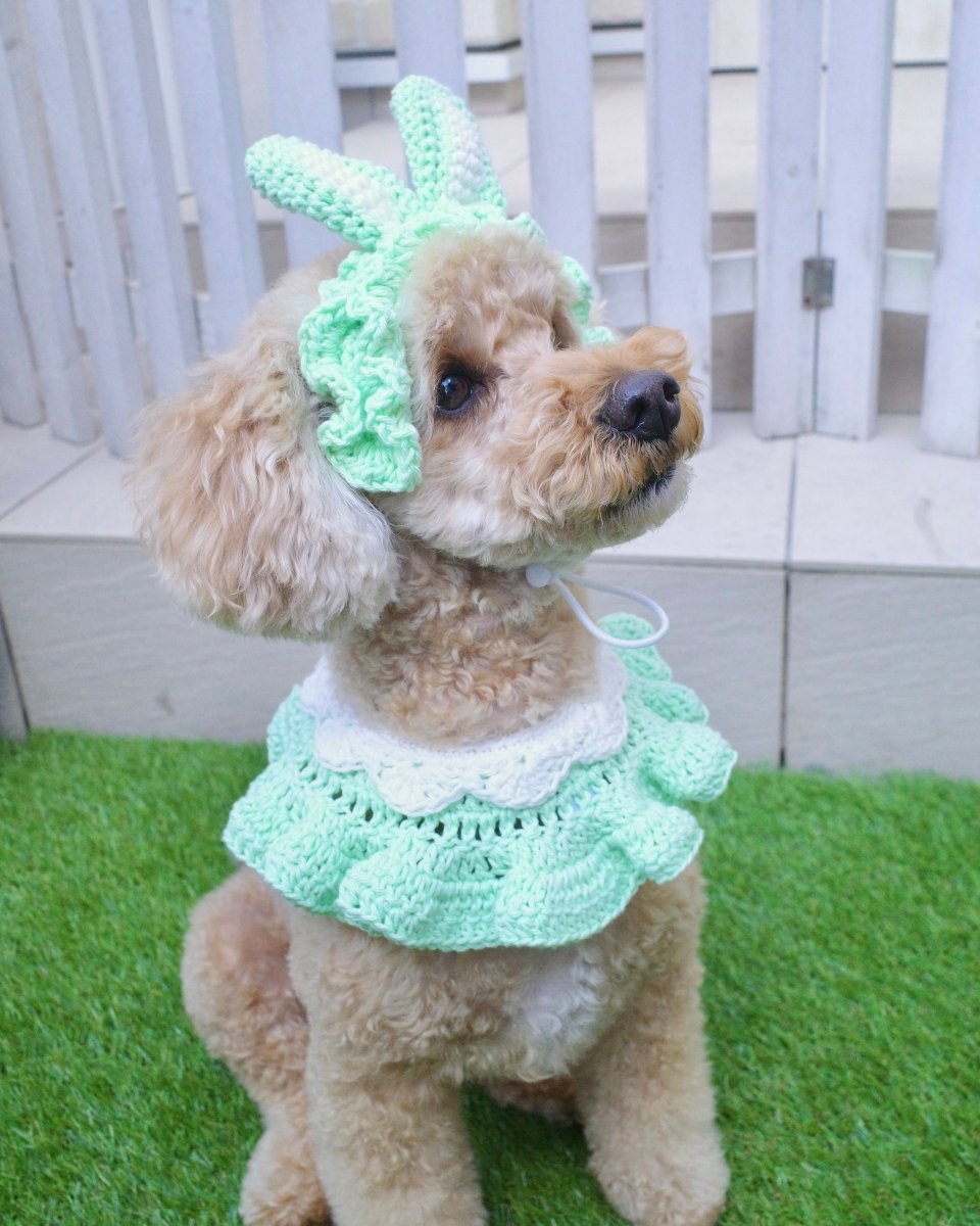 襟付きスプリングケープ - HEY,BUDDY