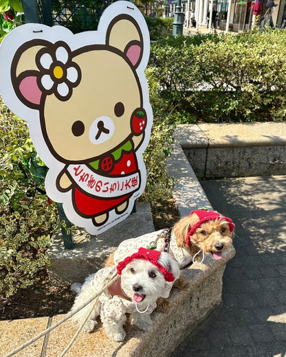 いちごちゃんハット - HEY,BUDDY