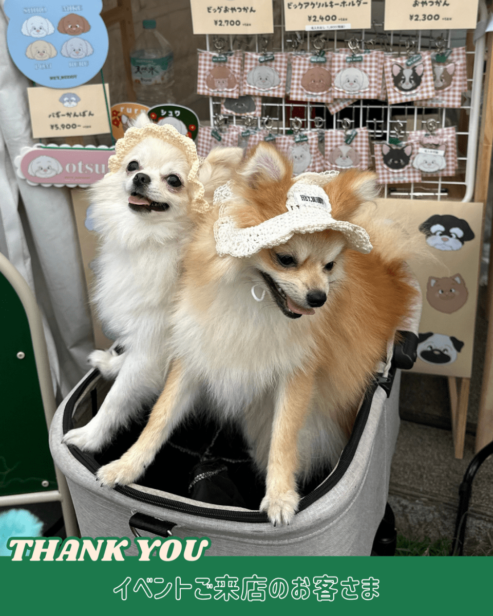 ひまわりハット - HEY,BUDDY