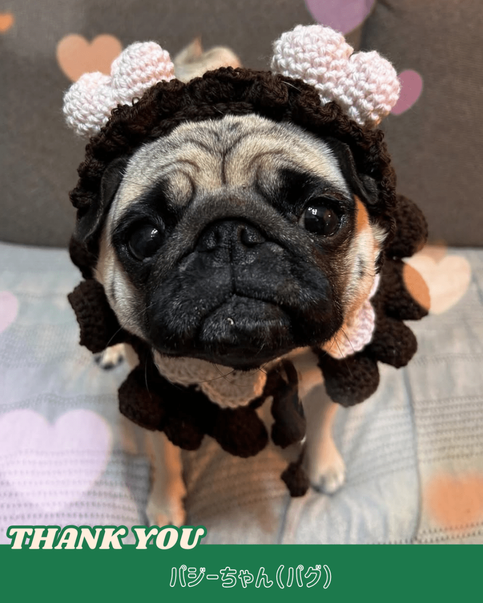 襟付きホイップケープ - HEY,BUDDY