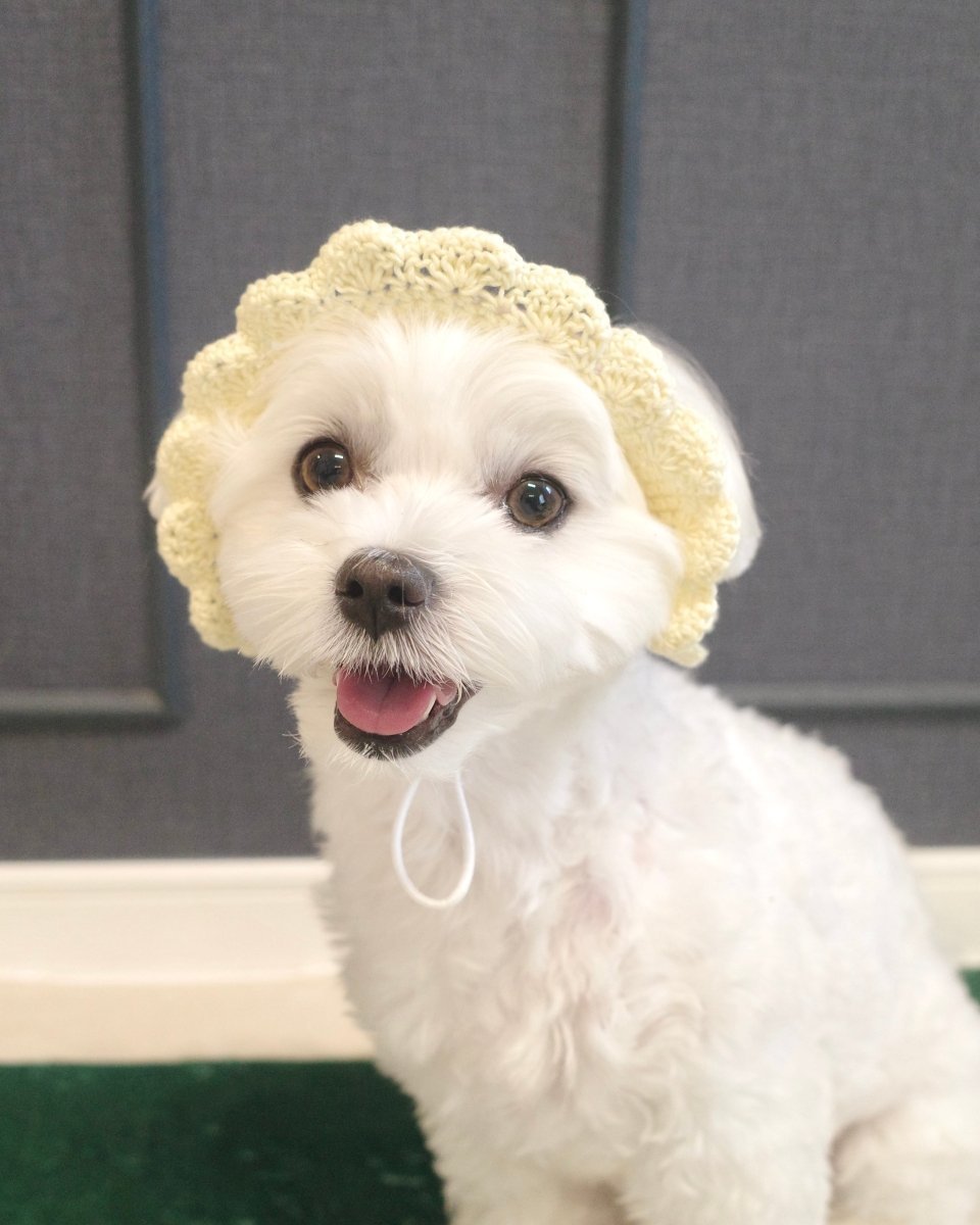 ひまわりハット - HEY,BUDDY