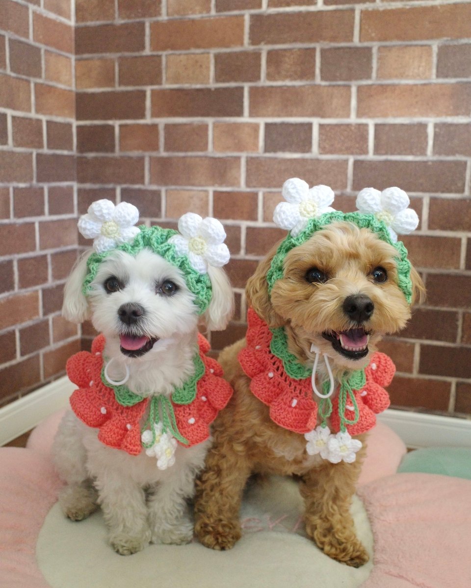 いちごちゃんケープ - HEY,BUDDY