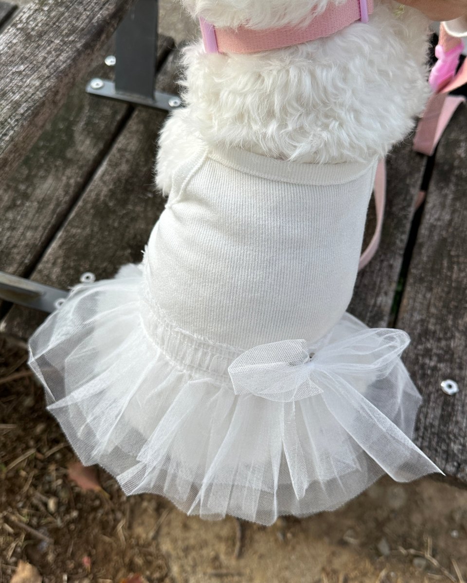 チュチュドレス - HEY,BUDDY