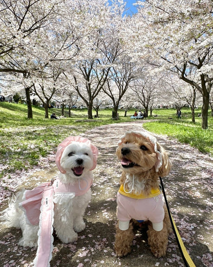 パステルフリルハット - HEY,BUDDY