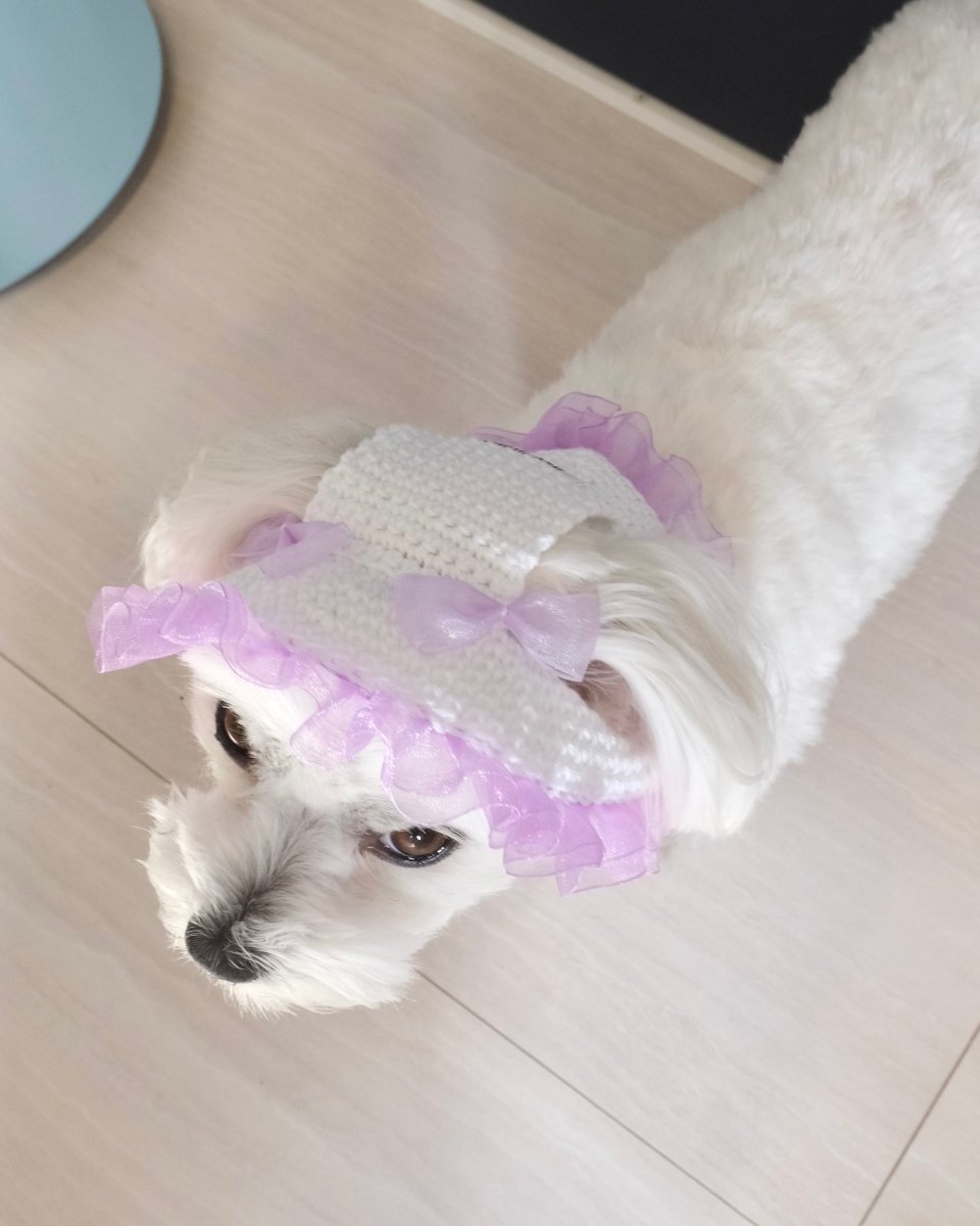 マーメイドハット - HEY,BUDDY