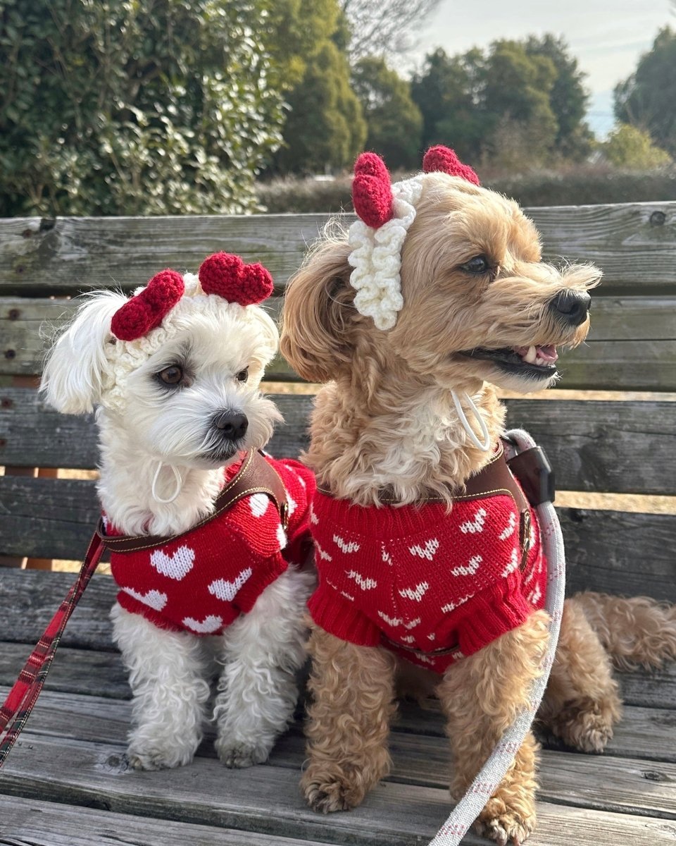 らぶニット - HEY,BUDDY