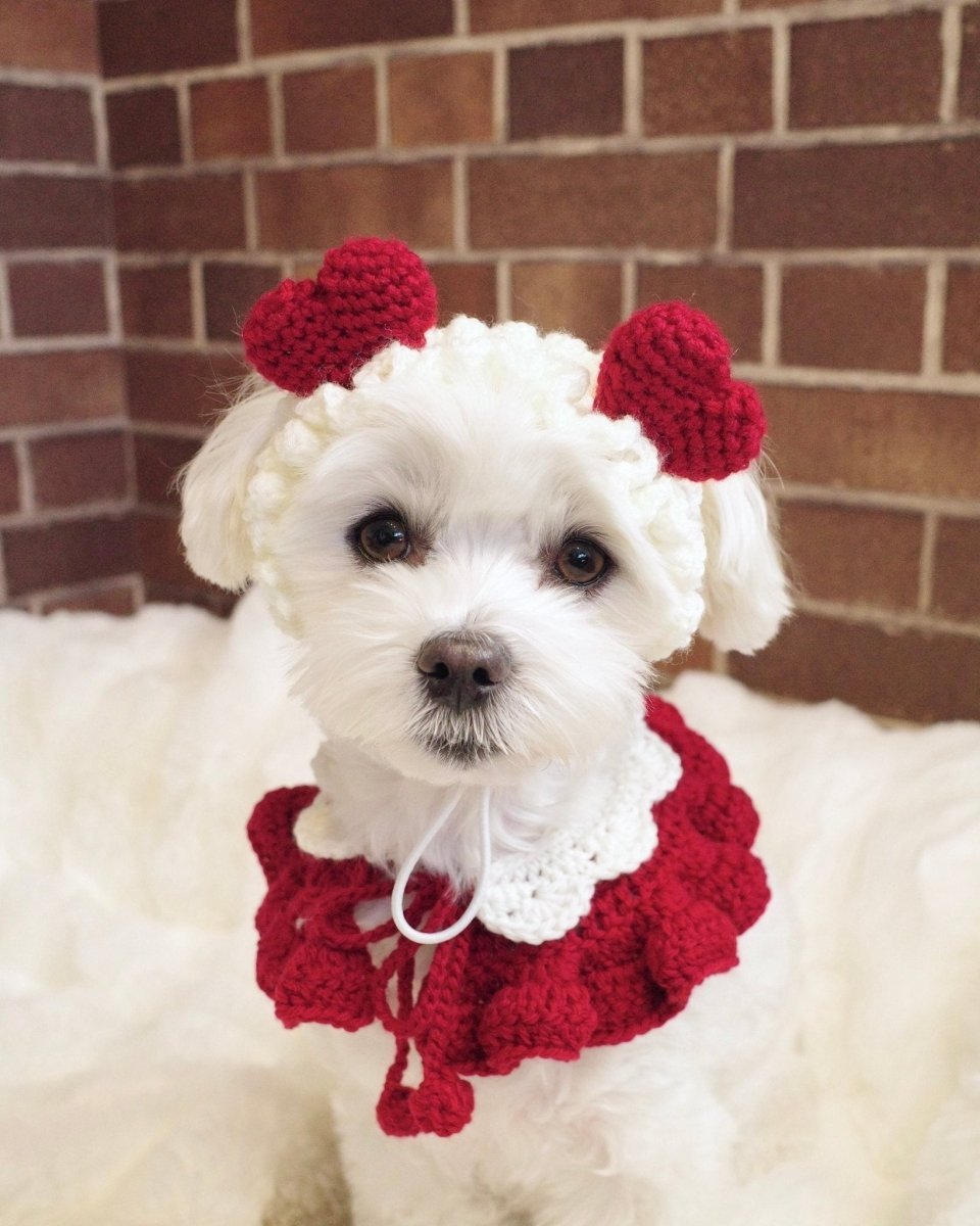 襟付きホイップケープ - HEY,BUDDY