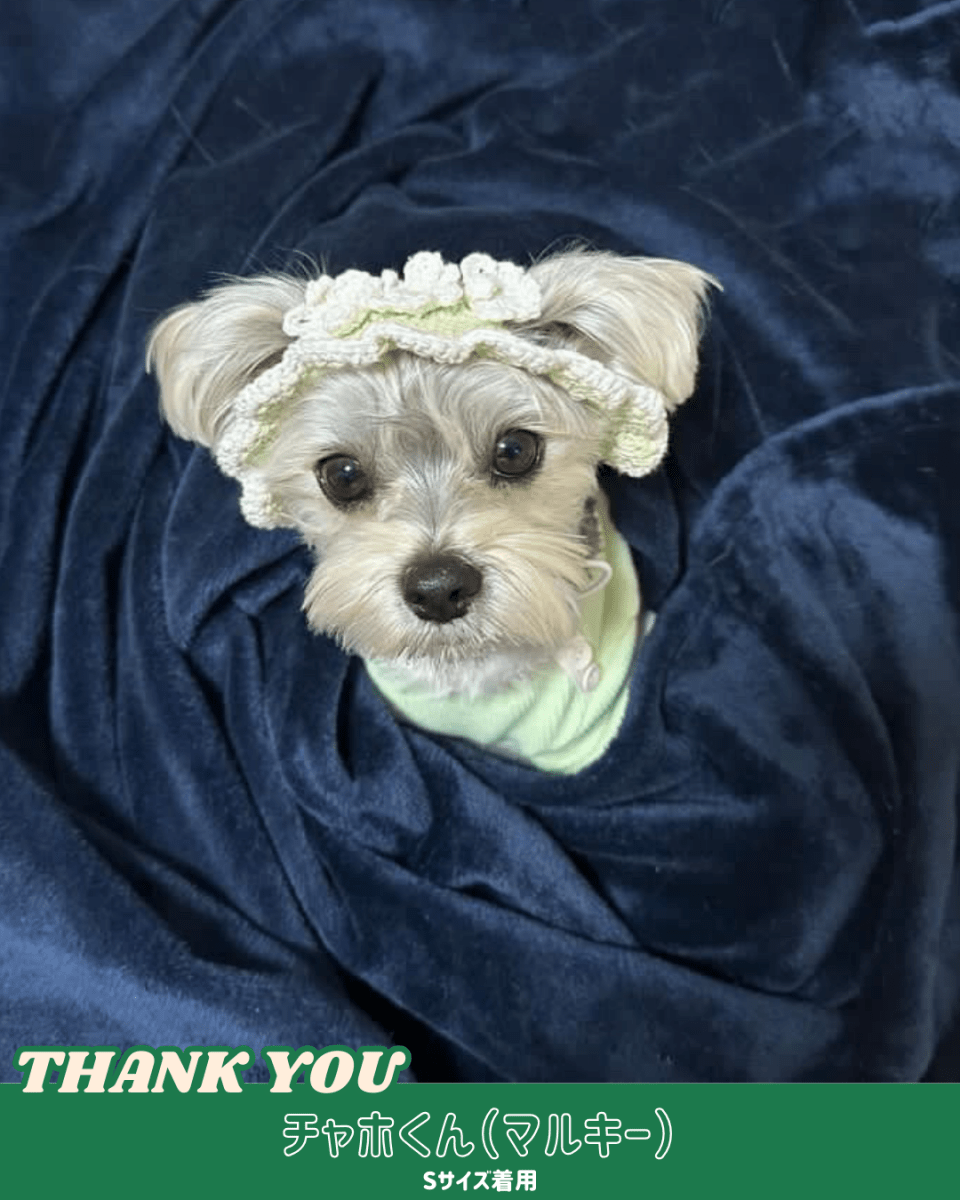 パステルフリルハット - HEY,BUDDY