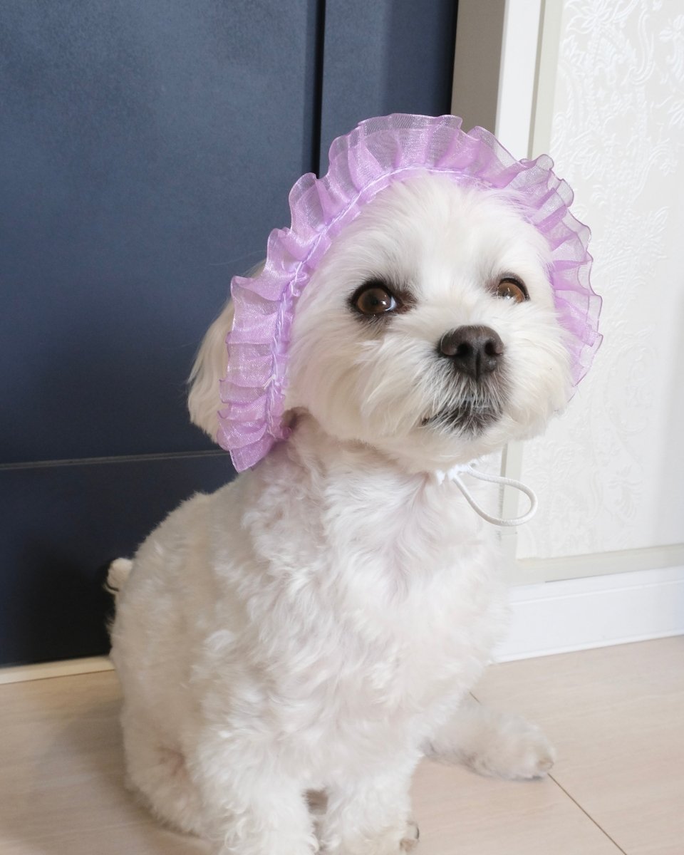 マーメイドハット - HEY,BUDDY