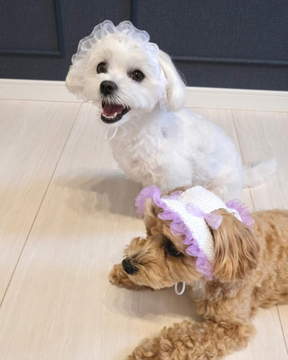 マーメイドハット - HEY,BUDDY