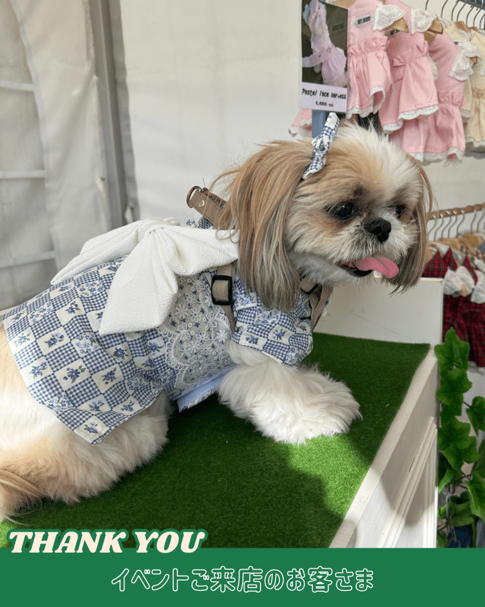 レトロなパッチンコームピン - HEY,BUDDY