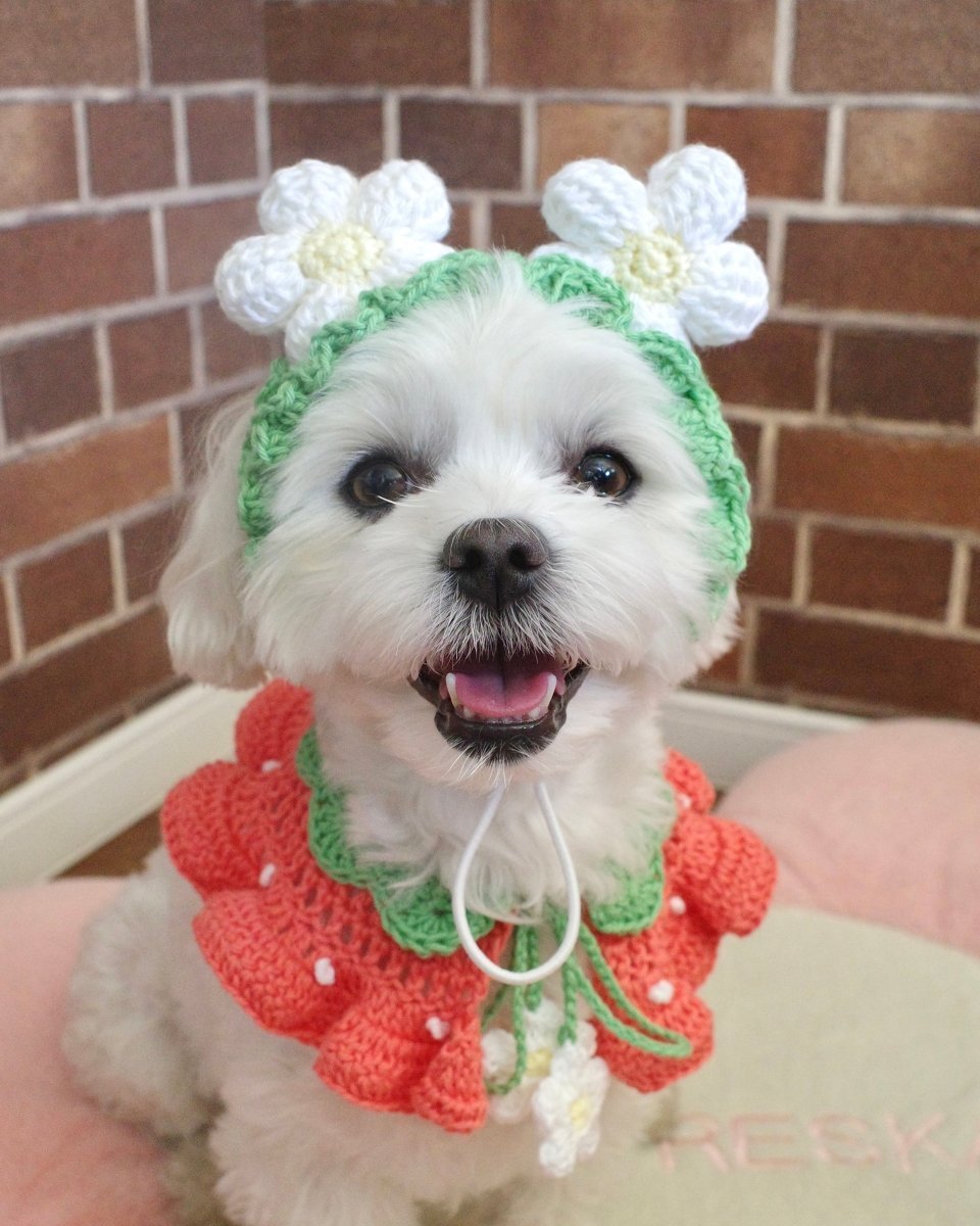 いちごちゃんセット（ケープ＆カチューシャ） - HEY,BUDDY