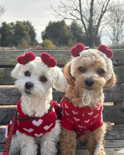 らぶニット - HEY,BUDDY