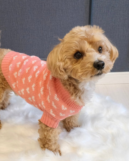 らぶニット - HEY,BUDDY