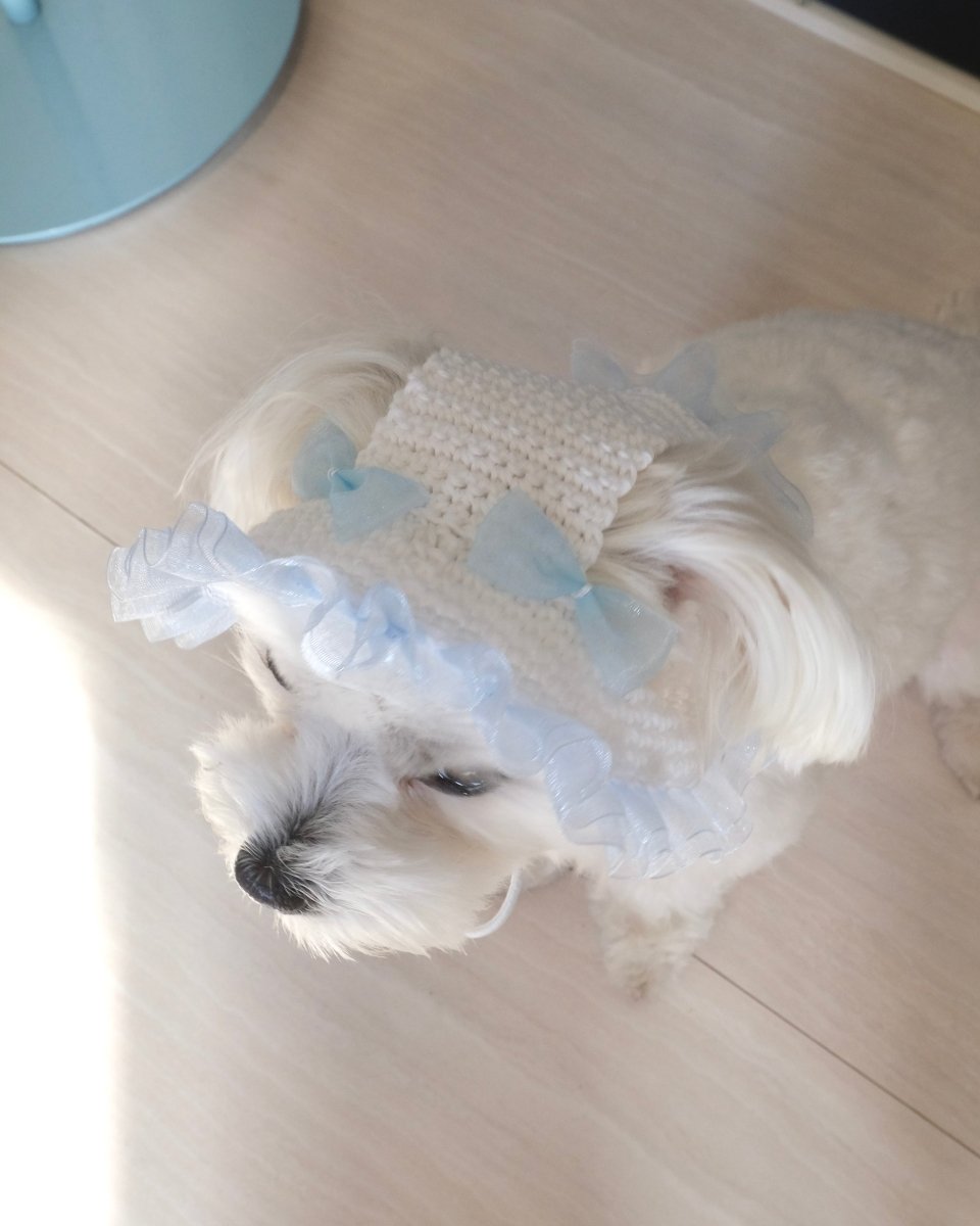 マーメイドハット - HEY,BUDDY