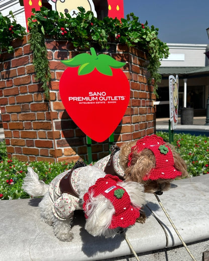 いちごちゃんハット - HEY,BUDDY