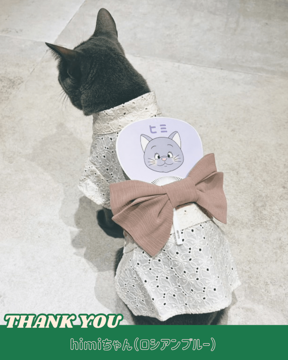 ミニうちわ - HEY,BUDDY