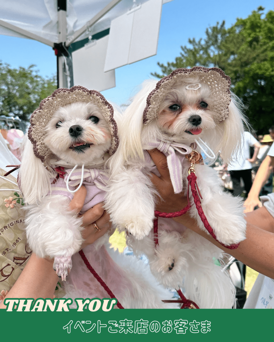 straw hat - HEY,BUDDY