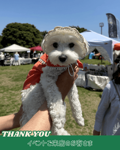 straw hat - HEY,BUDDY