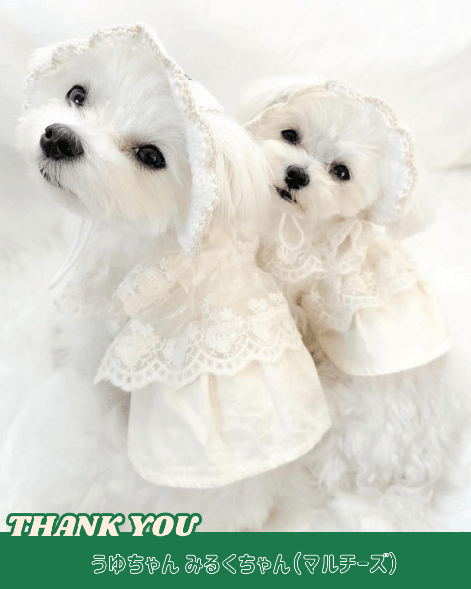 straw hat - HEY,BUDDY