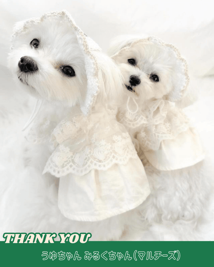 straw hat - HEY,BUDDY