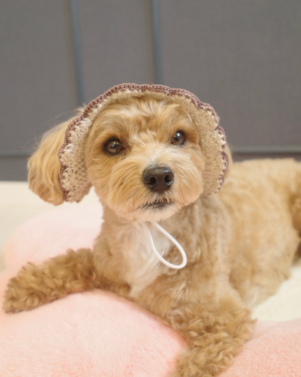 straw hat - HEY,BUDDY