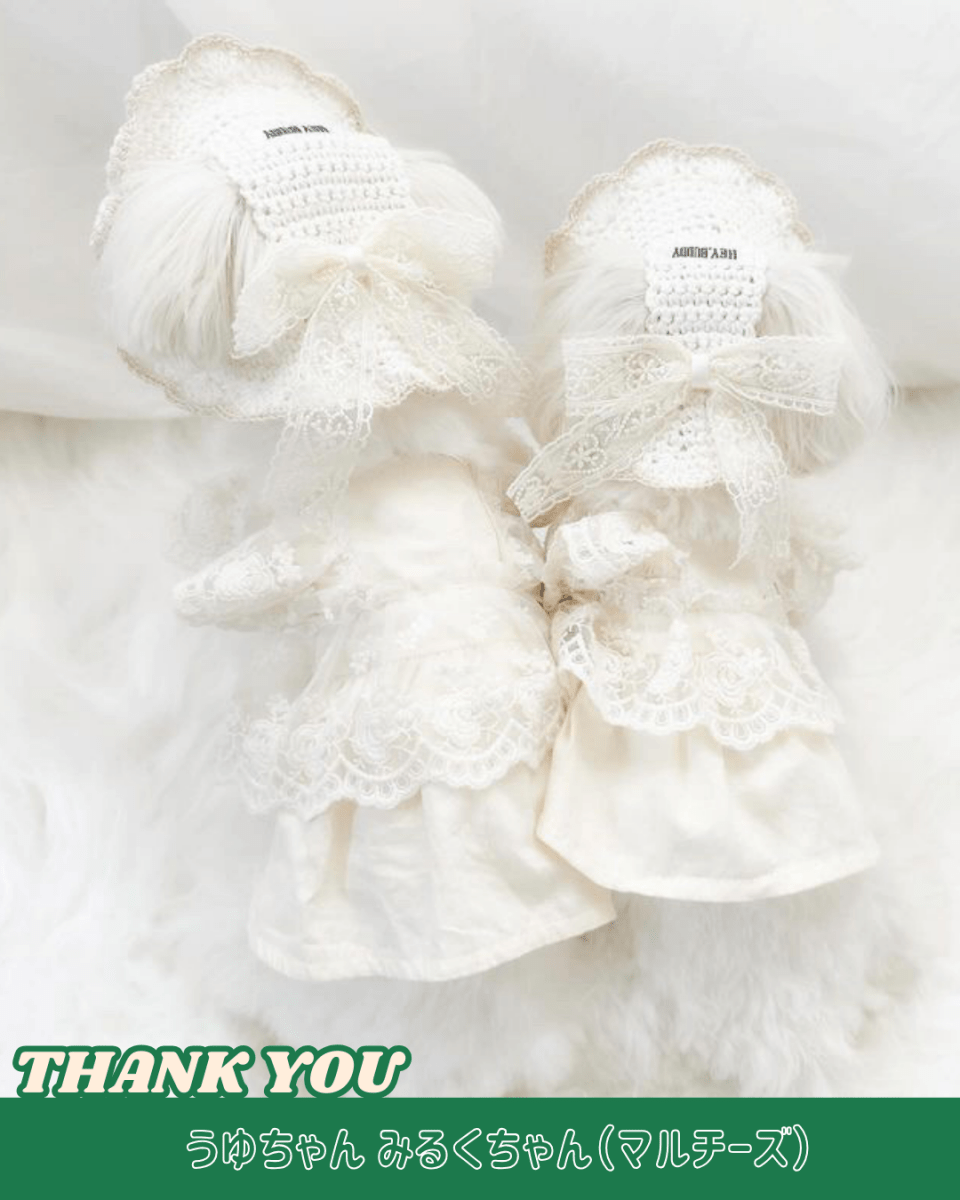 straw hat - HEY,BUDDY