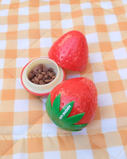 strawberry treats case - HEY,BUDDY