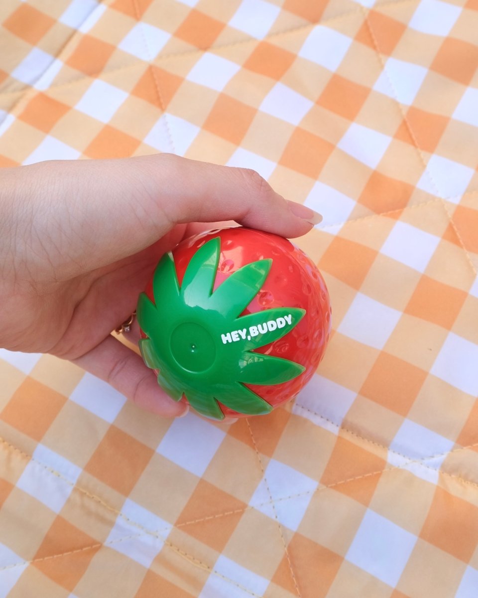 strawberry treats case - HEY,BUDDY