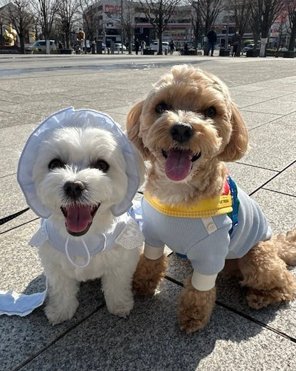 シャーベットワッフルTシャツ - HEY,BUDDY