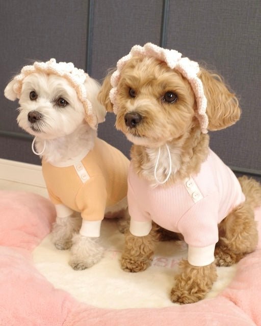 シャーベットワッフルTシャツ - HEY,BUDDY