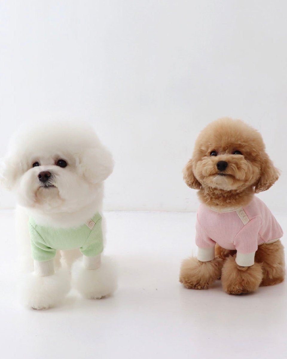 シャーベットワッフルTシャツ - HEY,BUDDY