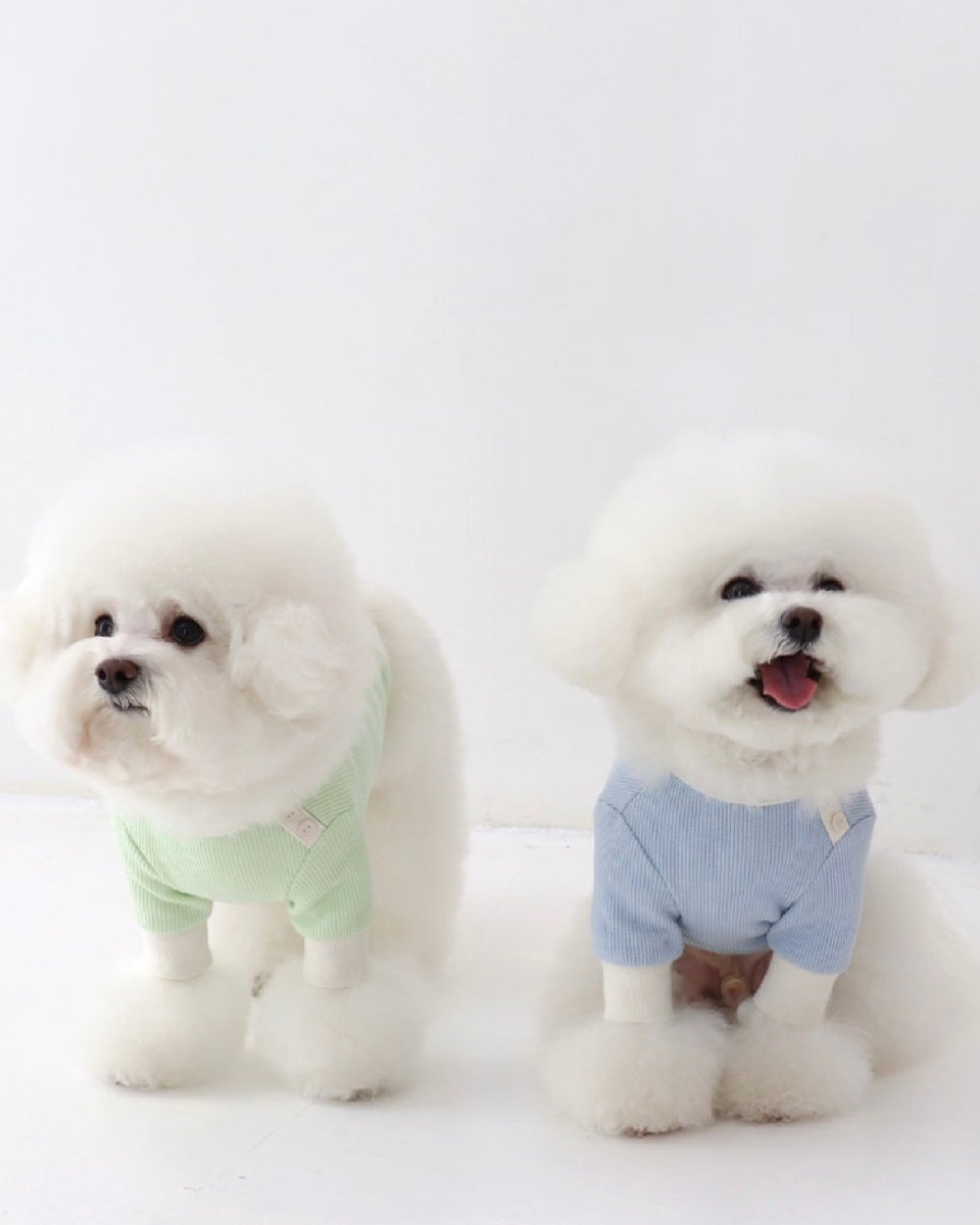 シャーベットワッフルTシャツ - HEY,BUDDY